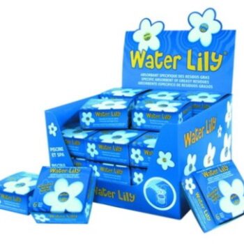 Water Lily