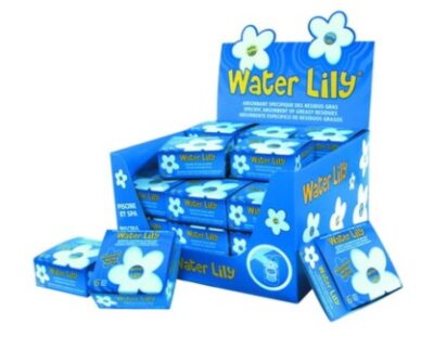Water Lily